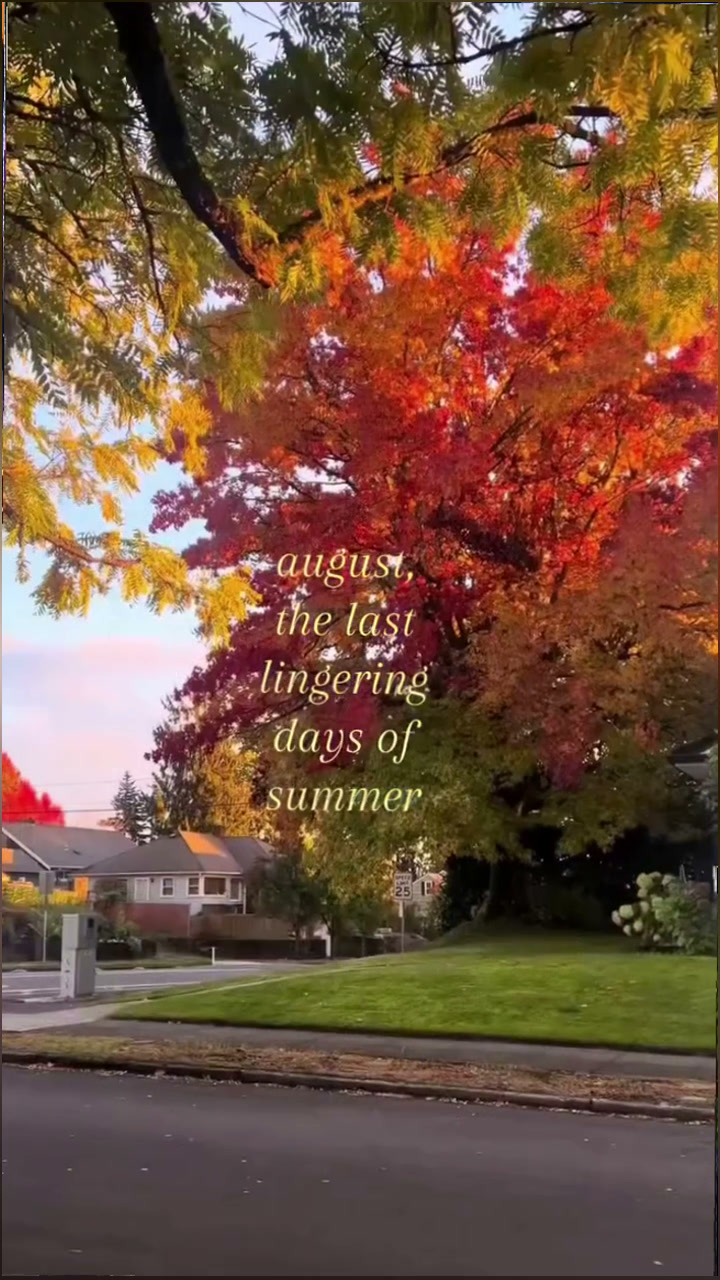 Replacement Fur Cover